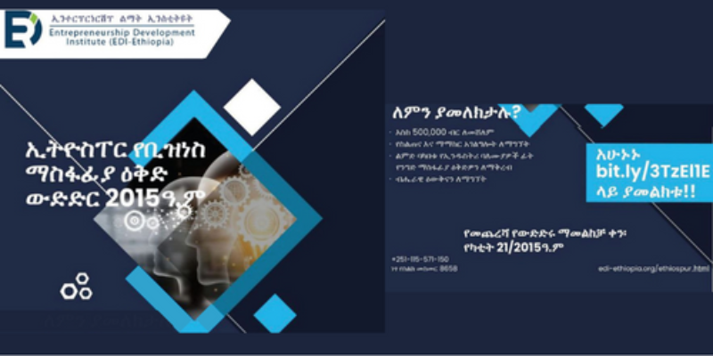Entrepreneurship Development institute